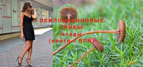 гидропоника Липки