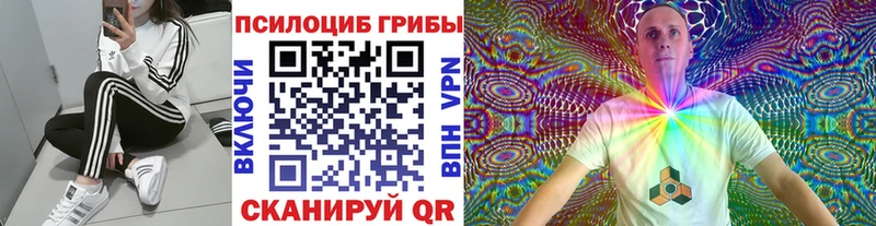 Галлюциногенные грибы Magic Shrooms  Арзамас 