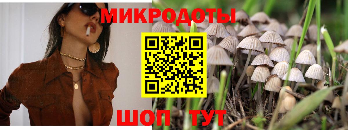 Галлюциногенные грибы Cubensis Арзамас