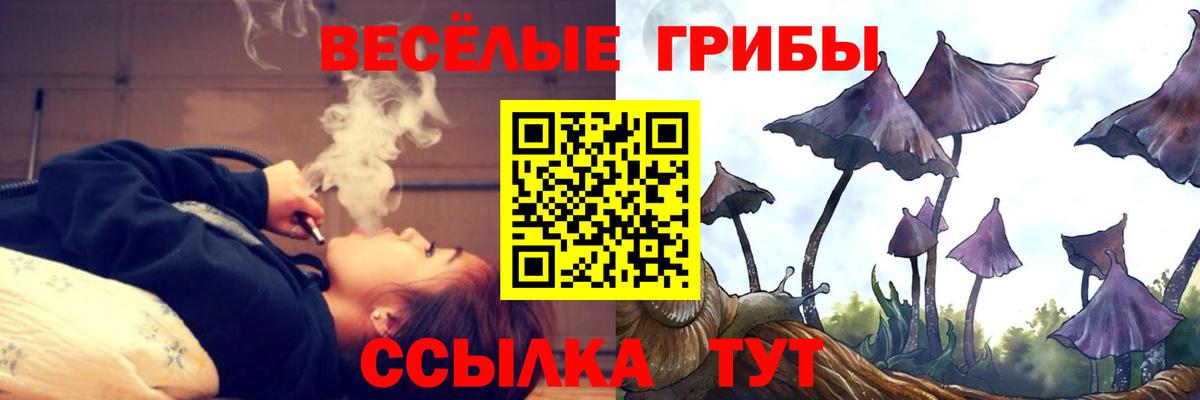 Арзамас  Галлюциногенные грибы Cubensis  Галлюциногенные грибы GOLDEN TEACHER  Вход с VPN 
